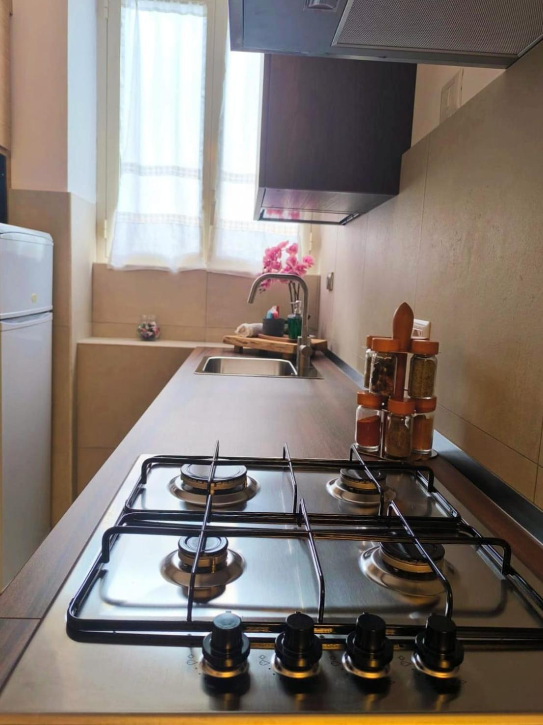 ローマVintage Houseアパートメント エクステリア 写真